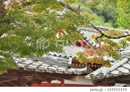 粉河寺 134552359