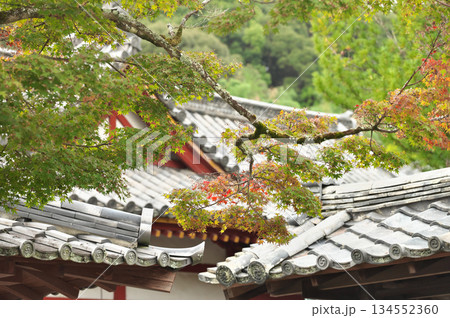 粉河寺 134552360