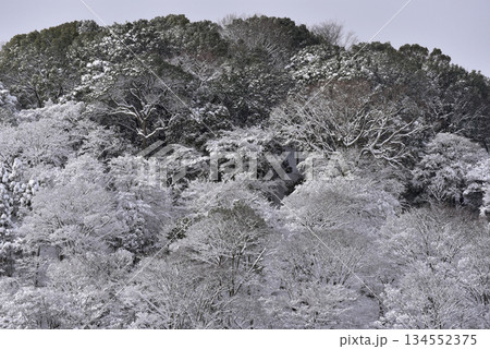 雪化粧した嵐山 雪化粧した嵐山 134552375