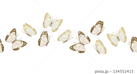 Pastel beige butterflies watercolor seamless border on white. Simple insects flying in the wave row for cute monochrome designs and baby nursery rooms in neutral colors. Minimalist repeat banner Pastel beige butterflies watercolor seamless border on white. Simple insects flying in the wave row for cute monochrome designs and baby nursery rooms in neutral colors. Minimalist repeat banner 134552415