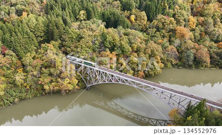 只見線 第一橋梁│紅葉の森へ進む列車│秋の奥会津 134552976