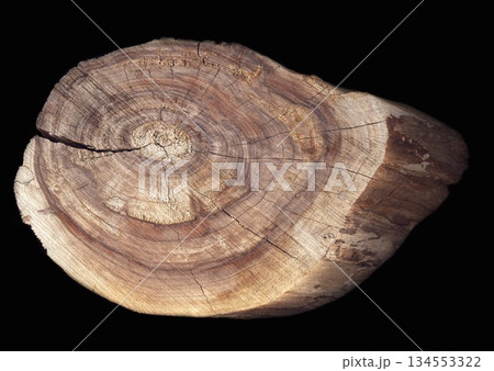 Cut of a tree on a black background Cut of a tree on a black background 134553322
