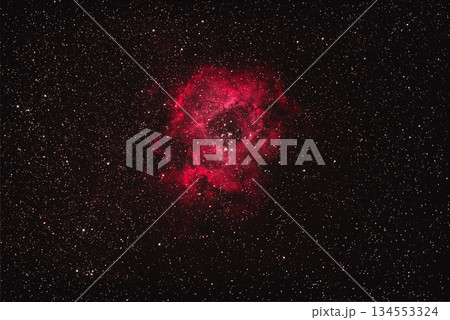 薔薇星雲A 134553324