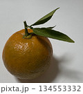 日本の暮らしにある、葉付きの橙（だいだい） 134553332