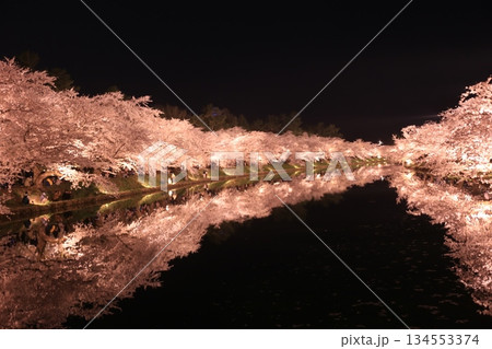 弘前城の夜桜 134553374