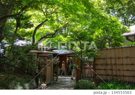 小石川後楽園の庭園入口と新緑に包まれた和風建築 日本庭園を訪れる人々 134553563