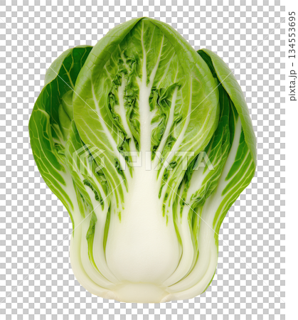 Fresh pak choi bok choy 134553695