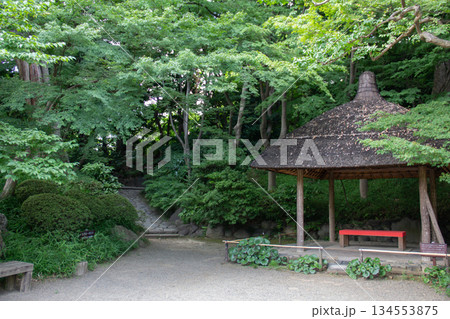 小石川後楽園の東屋と新緑の園路 静寂に包まれた初夏の日本庭園 小石川後楽園の東屋と新緑の園路 静寂に包まれた初夏の日本庭園 134553875