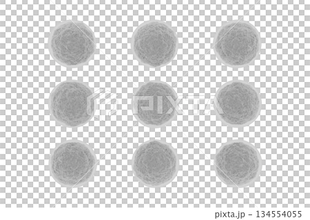 球菌影像 134554055