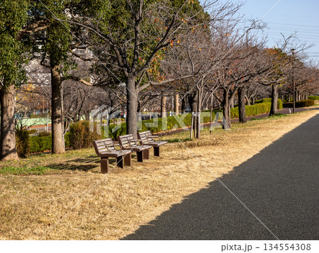 公園に置かれている仕切りの付いたベンチ 公園に置かれている仕切りの付いたベンチ 134554308