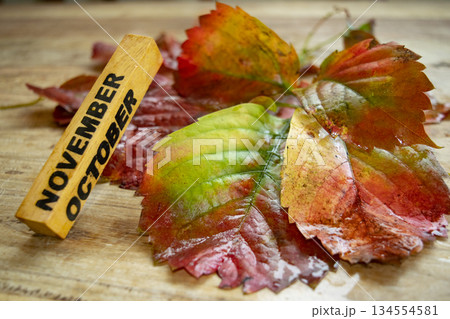 olive oil bottles olive oil bottles 134554581