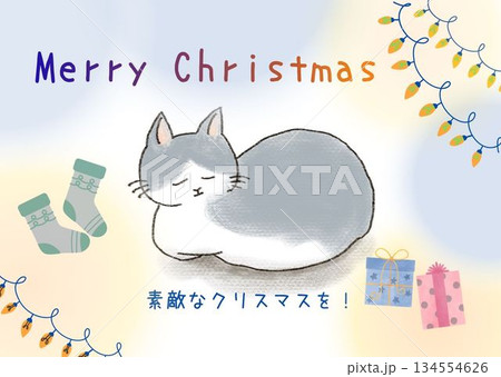 かわいいネコのクリスマスカード 134554626
