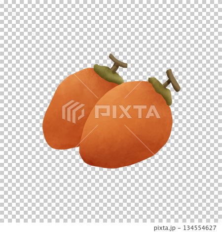 簡單的柿子乾圖示 134554627