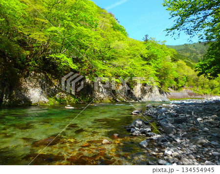 新緑の渓に立つ―5月の馬瀬川、釣り人の静かな時間 134554945