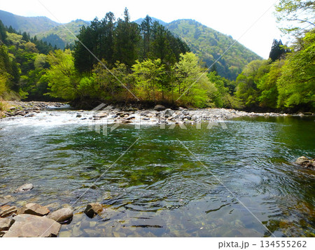 新緑の渓に誘われて―5月の吉田川で渓流釣り 134555262