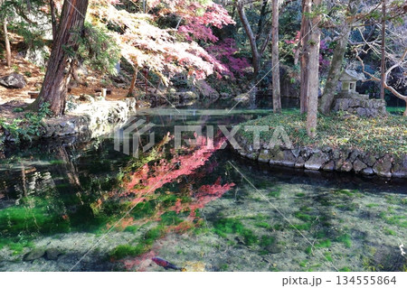 出流原弁天池に映る紅葉 134555864