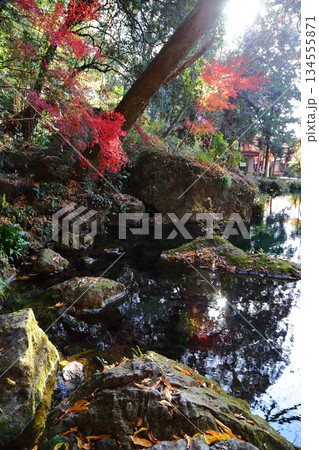 出流原弁天池に映る紅葉 出流原弁天池に映る紅葉 134555871