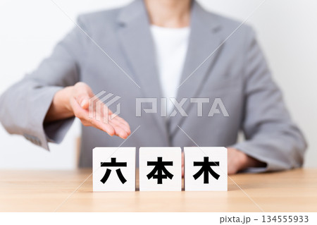 六本木のブロックとスーツを着たミドル女性ビジネスウーマン 六本木のブロックとスーツを着たミドル女性ビジネスウーマン 134555933