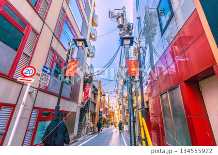 日本の東京都市景観 伝統とモダンが交差する…情緒漂う街。情緒あふれる神楽坂。本多横丁などを望む 134555972