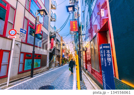 日本の東京都市景観 伝統とモダンが交差する…情緒漂う街。情緒あふれる神楽坂。本多横丁などを望む 日本の東京都市景観 伝統とモダンが交差する…情緒漂う街。情緒あふれる神楽坂。本多横丁などを望む 134556061