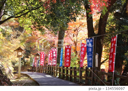 紅葉に包まれた唐沢山城跡 紅葉に包まれた唐沢山城跡 134556097