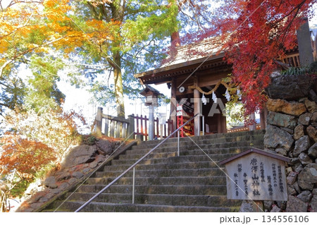 紅葉に包まれた唐沢山城跡 紅葉に包まれた唐沢山城跡 134556106