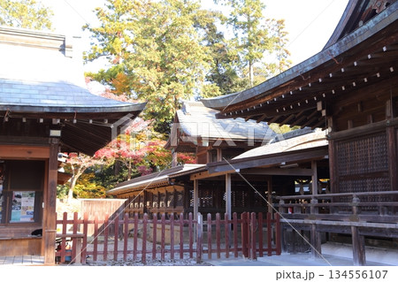 紅葉に包まれた唐沢山城跡 134556107