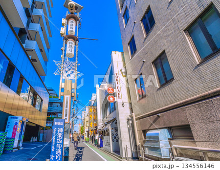 日本の東京都市景観 伝統とモダンが交差する…情緒漂う街。情緒あふれる神楽坂。神楽坂仲通りなどを望む 134556146