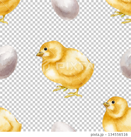 Seamless pattern with yellow chickens and eggs. Isolated watercolor illustration. A drawing with birds in a poultry yard in natural colors. Realistic chicken for eco-friendly food design and farm 134556516