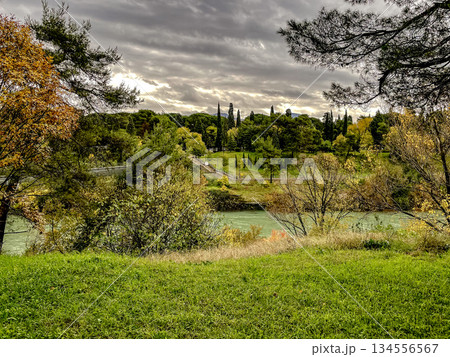 Lakeside environment featuring trees and reflective water 134556567