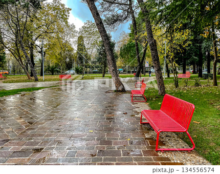 Reflective path lined with vivid trees and damp pavement awaiting visitors 134556574