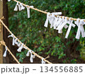 神社で願いを込めて結ばれたおみくじ 134556885