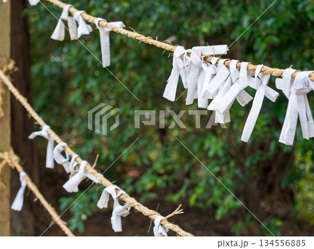 神社で願いを込めて結ばれたおみくじ 134556885