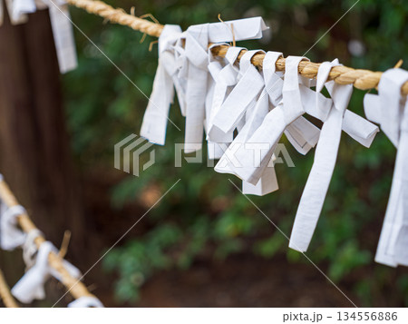 神社で願いを込めて結ばれたおみくじ 神社で願いを込めて結ばれたおみくじ 134556886
