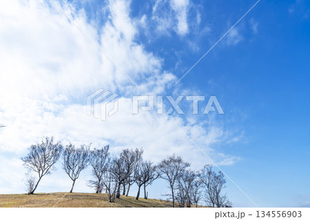 冬空と雲と草原 134556903