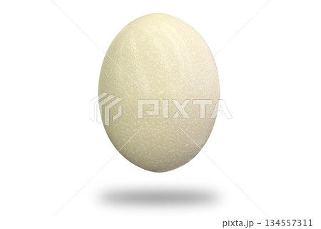 Ostrich egg isolated on white background. Big ostrich egg 134557311