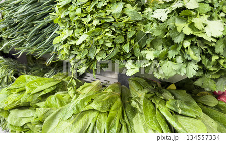 Vegetable set on the market counter. Green onions, red radishes, lettuce, curly parsley, purple Basil, fresh sorrel, beet tops and other spices Vegetable set on the market counter. Green onions, red radishes, lettuce, curly parsley, purple Basil, fresh sorrel, beet tops and other spices 134557334