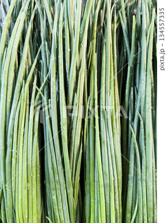 Pack of fresh spring onions background texture. Fresh Green onion pattern. Bunch green onion. Pack of fresh spring onions background texture. Fresh Green onion pattern. Bunch green onion. 134557335