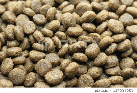 Dry pet food texture background. Food for cats and dogs pattern. Pile of granulated animal feeds. Granules of good nutrition for dogs and cats. Macro shot 134557509
