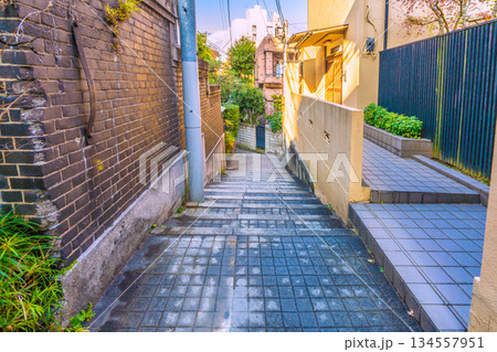 日本の東京都市景観 伝統とモダンが交差する…情緒漂う街。情緒あふれる神楽坂。兵庫横丁などを望む 134557951