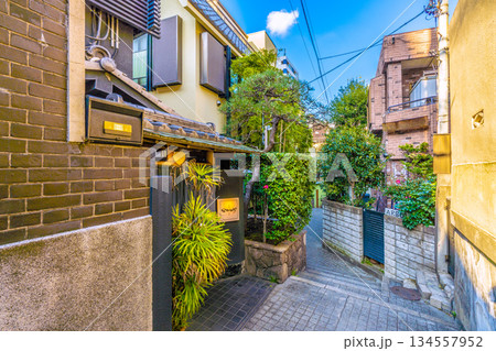 日本の東京都市景観 伝統とモダンが交差する…情緒漂う街。情緒あふれる神楽坂。兵庫横丁などを望む 134557952