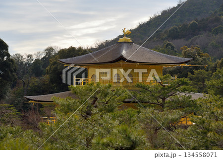 Kinkakuji temple Golden Pavillion, UNESCO world heritage site and Zen Buddhist temple in Kyoto, Japan 134558071