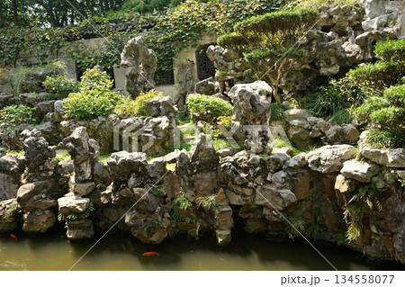 Yuyuan Chinese garden in the Old City of Shanghai, built in 1559 during Ming Dynasty in Shanghai, China 134558077