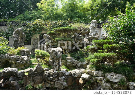 Yuyuan Chinese garden in the Old City of Shanghai, built in 1559 during Ming Dynasty in Shanghai, China 134558078