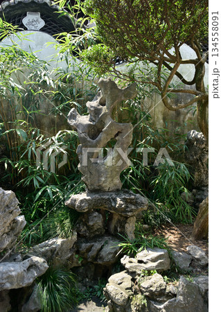 Yuyuan Chinese garden in the Old City of Shanghai, built in 1559 during Ming Dynasty in Shanghai, China 134558091