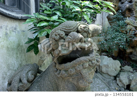 Yuyuan classical Chinese garden in the Old City of Shanghai, built in 1559 during Ming Dynasty in Shanghai, China 134558101