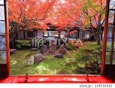 【京都府】建仁寺本坊潮音庭(三連の庭)の紅葉 【京都府】建仁寺本坊潮音庭(三連の庭)の紅葉 134558385