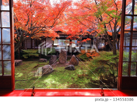 【京都府】建仁寺本坊潮音庭（三連の庭）の紅葉 134558386