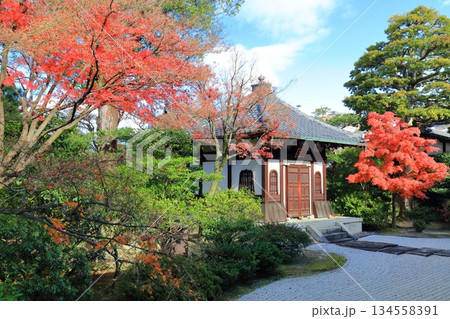 【京都府】晴天の建仁寺の納骨堂と紅葉 【京都府】晴天の建仁寺の納骨堂と紅葉 134558391