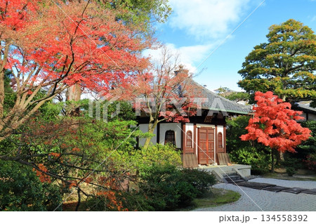 【京都府】晴天の建仁寺の納骨堂と紅葉 134558392